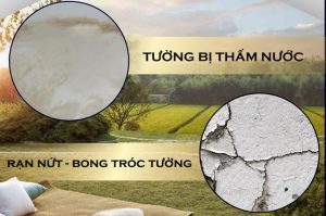 vi sao nen chong tham tuong