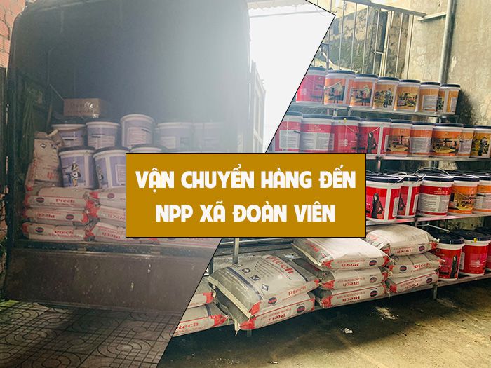 Cung cấp sơn đến tận nơi cho NPP Xã Đoàn Viên