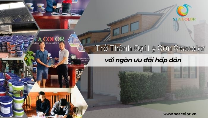 Mở đại lý sơn Seacolor với nhiều ưu đãi hấp dẫn 